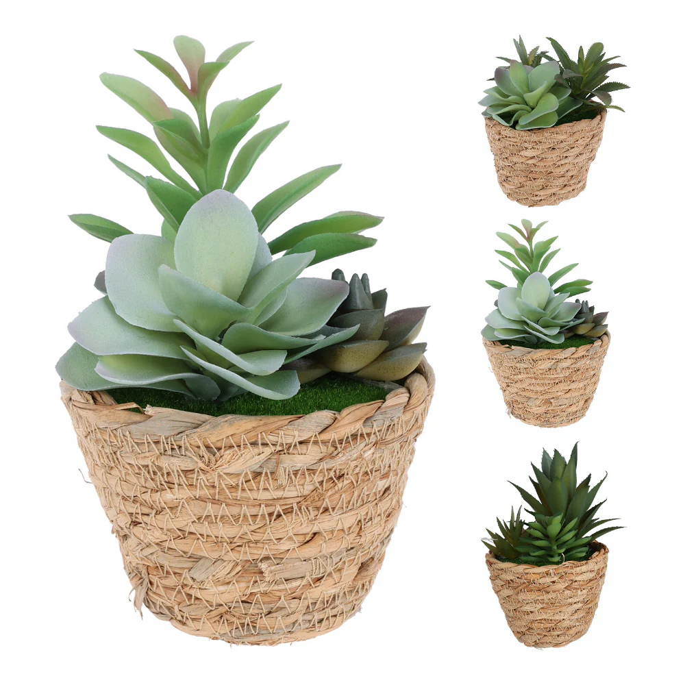 Artificial Succulent Plant in Seagrass Basket | 16cm, Assorted Designs