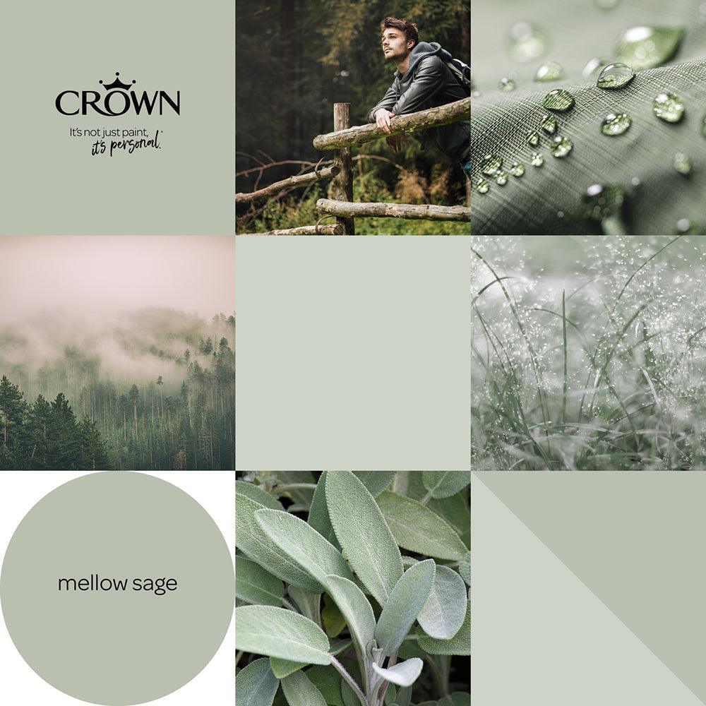 Crown Walls & Ceilings Matt Emulsion Paint | Mellow Sage | 40ml Tester - Image 6
