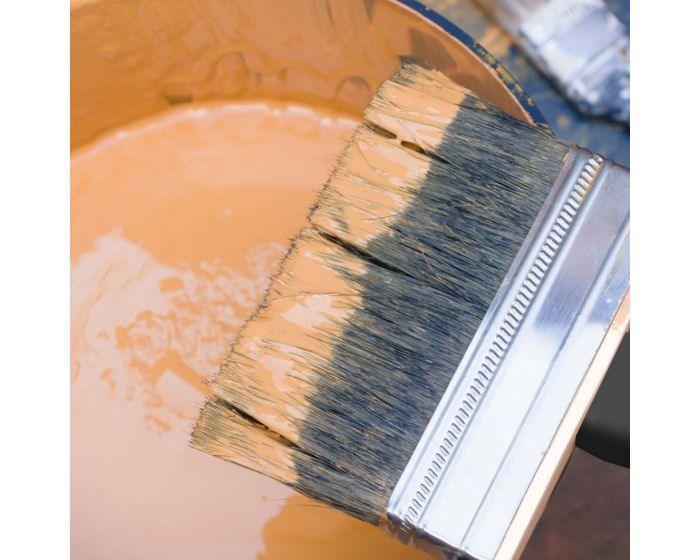 Dekton | Pro Grade Multipurpose Shed & Fence Brush 4" DT95845 - Image 5