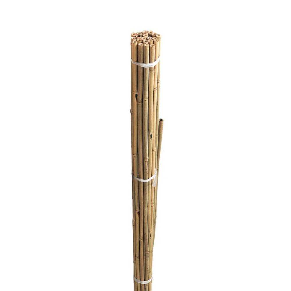 Grow It Bamboo Canes Bulk Bundle 60cm | Pack of 20