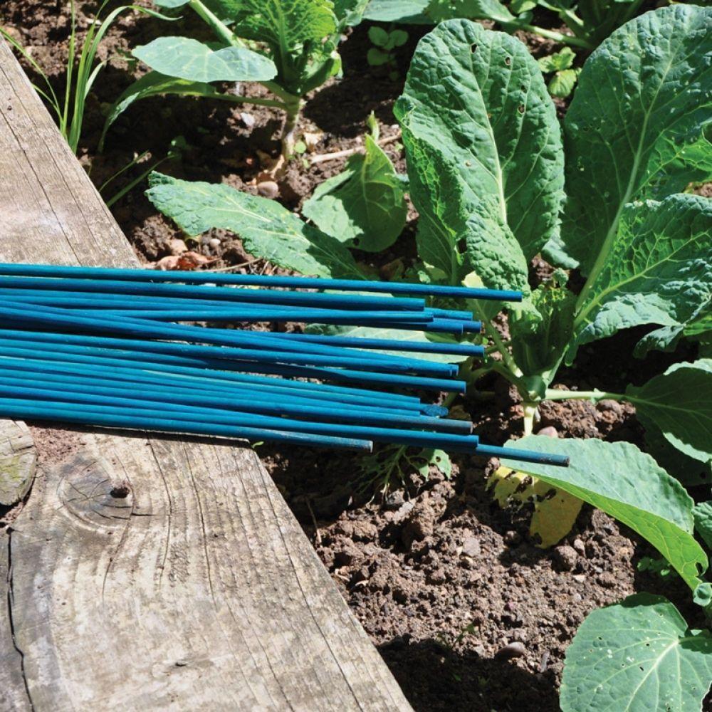 Kingfisher Green Garden Canes | Pack of 20 | 60cm - Image 2