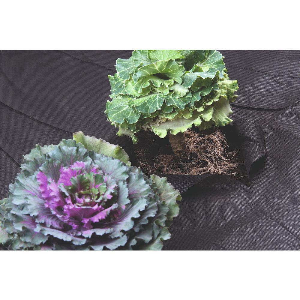Kinzo Black Weed Control Fabric | 1.5 x 8m - Image 3