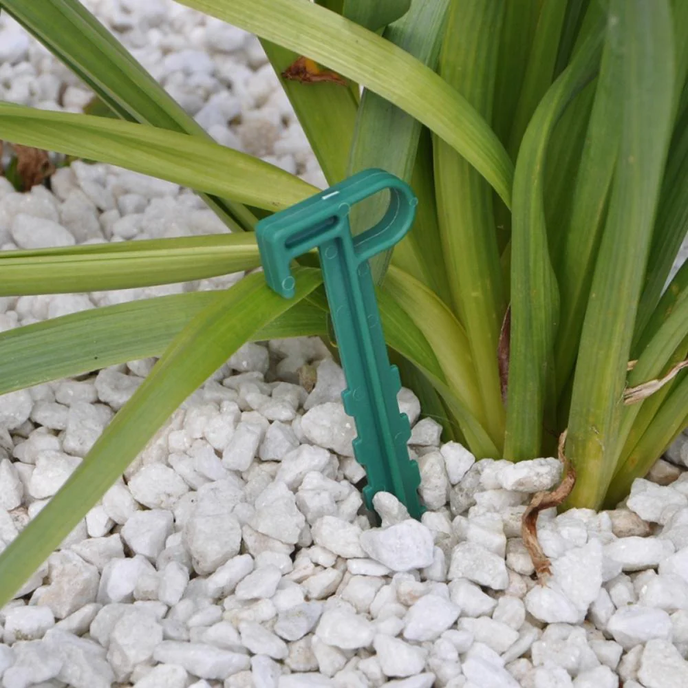 Shedmates Garden Pegs | 10 Pack - Image 2