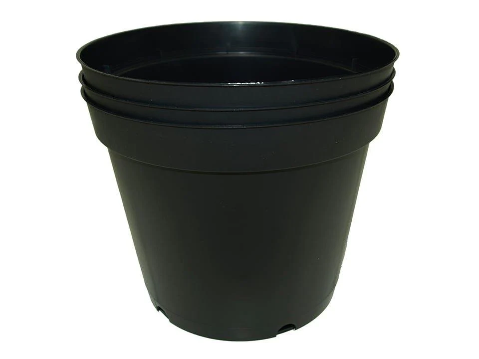 Tomato Pot 23cm | Pack of 3