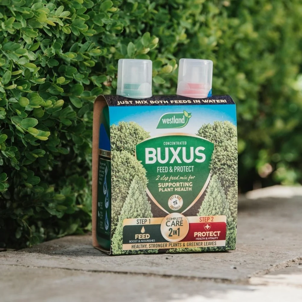 Westland Buxus Feed & Protect 2in1 | 2x500ml