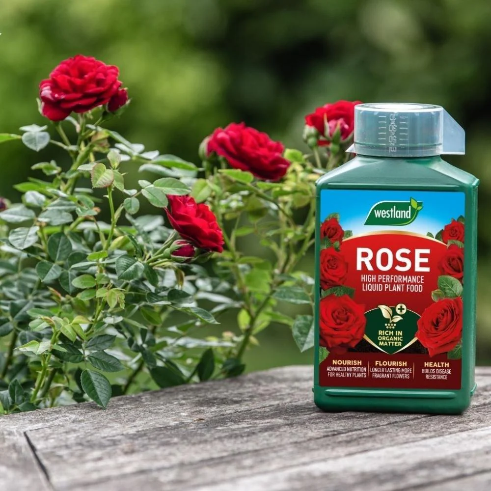 Westland Rose Specialist Liquid Feed | 1L - Image 3