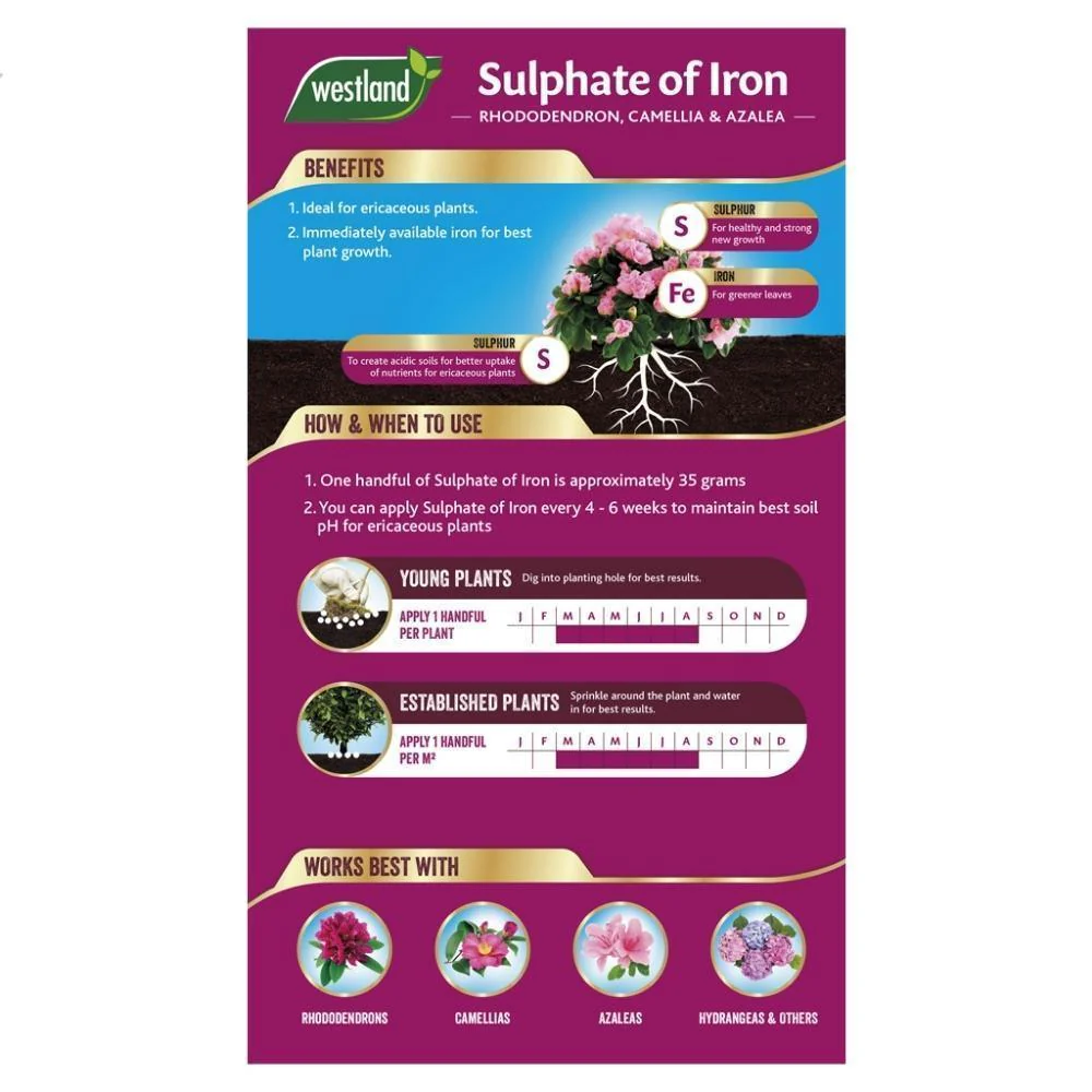 Westland Sulphate of Iron | Ericaceous Booster | 1.5kg - Image 3