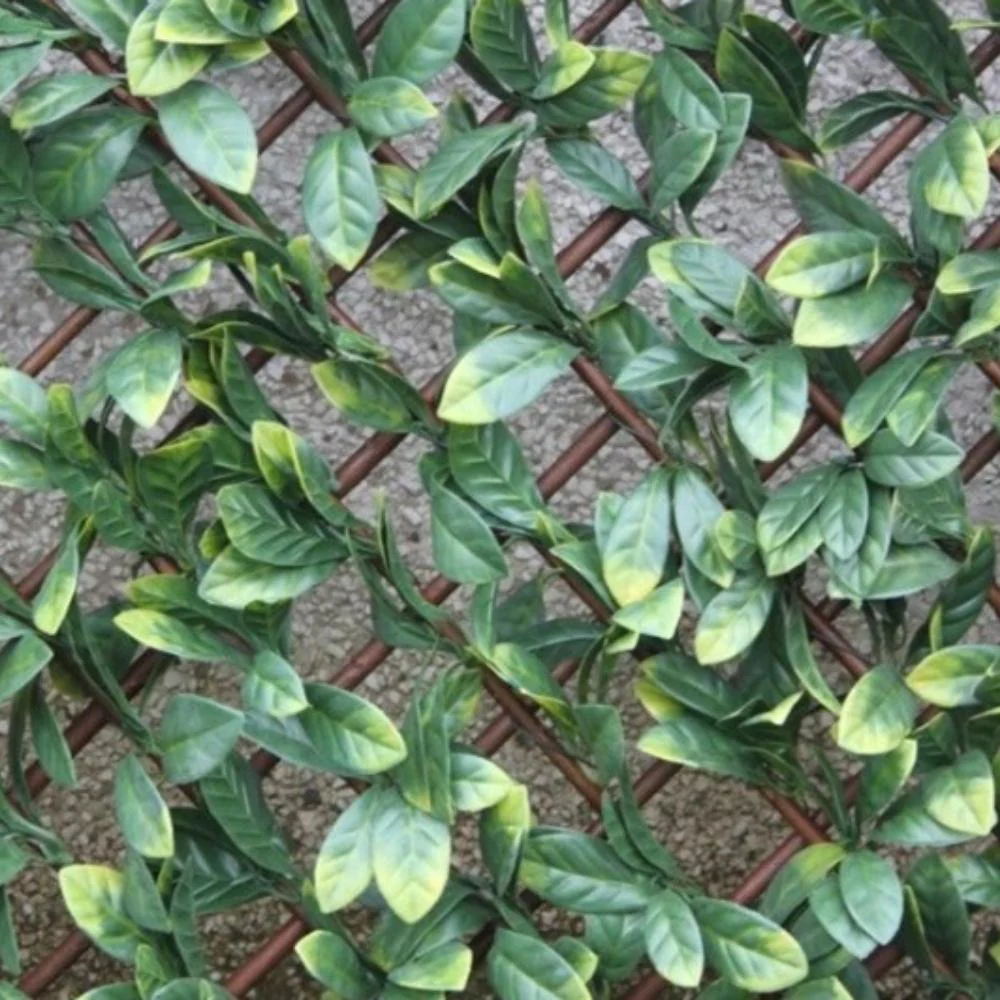 WonderWal Garden Trellis | Low Maintenance | Natural Looking - Image 4