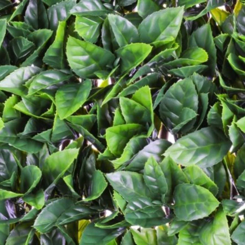 WonderWal Garden Trellis | Low Maintenance | Natural Looking - Image 5